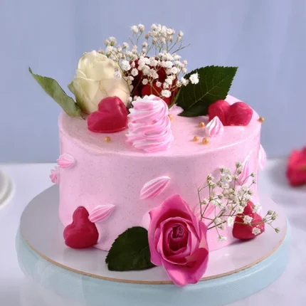 Chocolate Cake - The Oven Chef